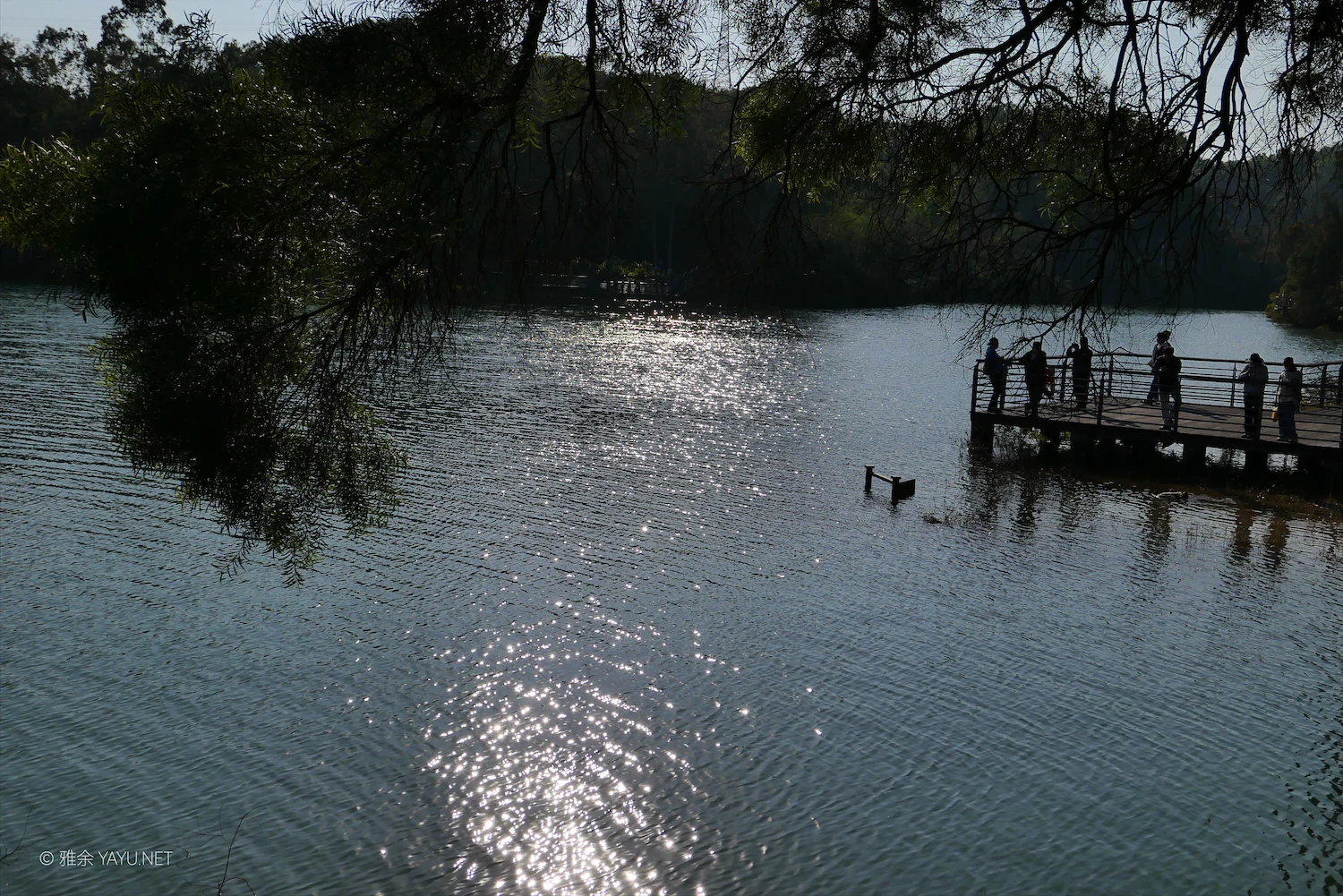 中山金钟水库10公里环湖漫步(图6) 中山金钟水库10公里环湖漫步(图6)