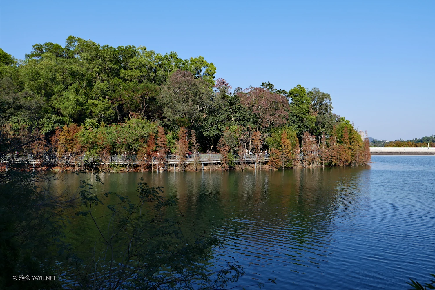 中山金钟水库10公里环湖漫步(图5) 中山金钟水库10公里环湖漫步(图5)