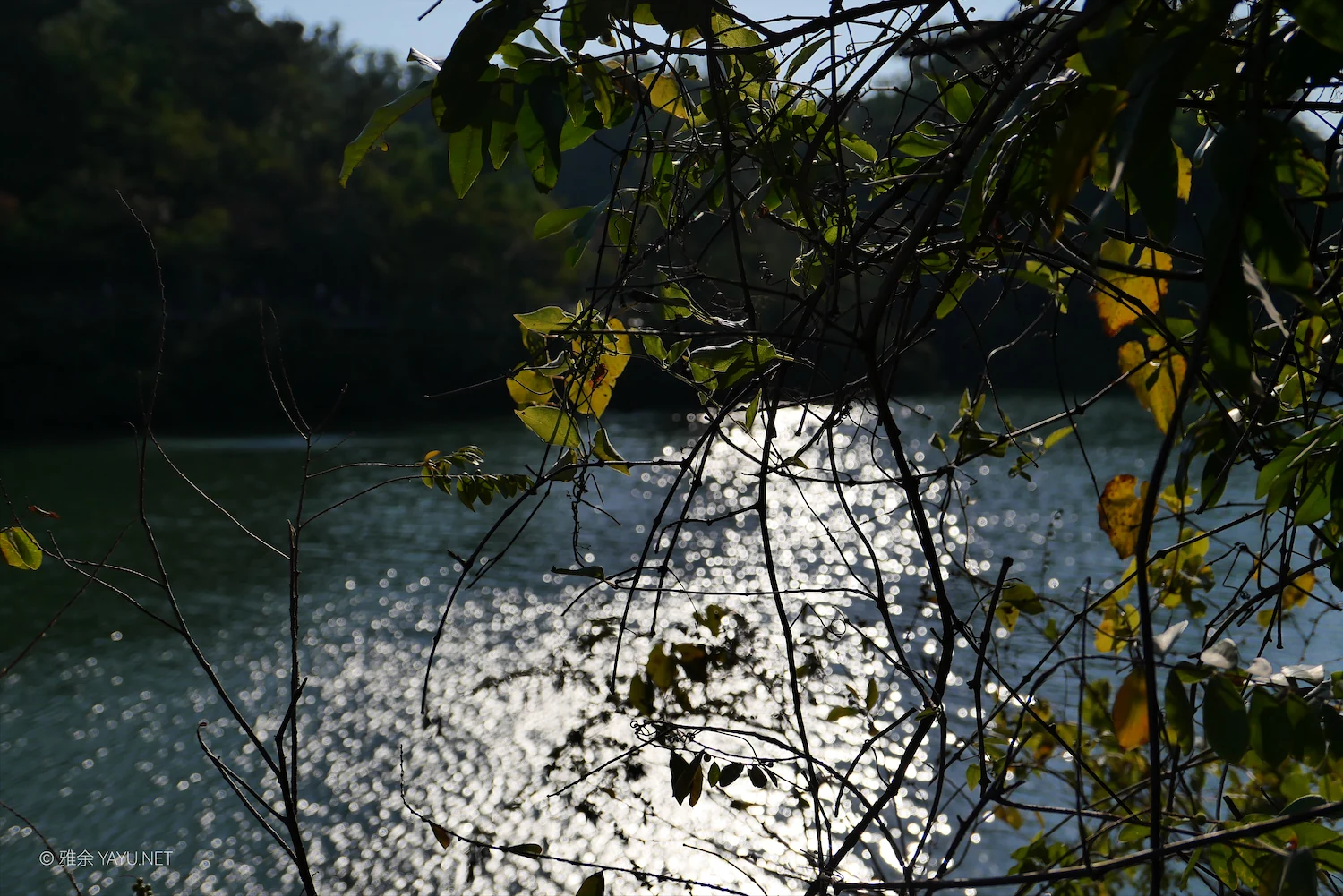 中山金钟水库10公里环湖漫步(图9) 中山金钟水库10公里环湖漫步(图9)