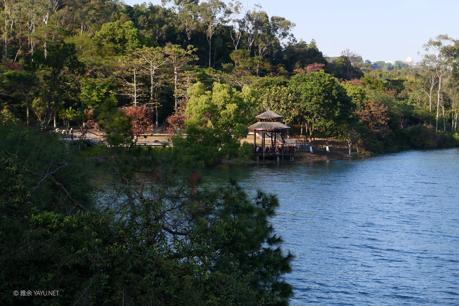 中山金钟水库10公里环湖漫步(图14) 中山金钟水库10公里环湖漫步(图14)