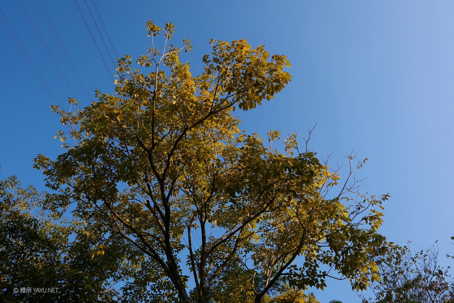 中山金钟水库10公里环湖漫步(图18) 中山金钟水库10公里环湖漫步(图18)