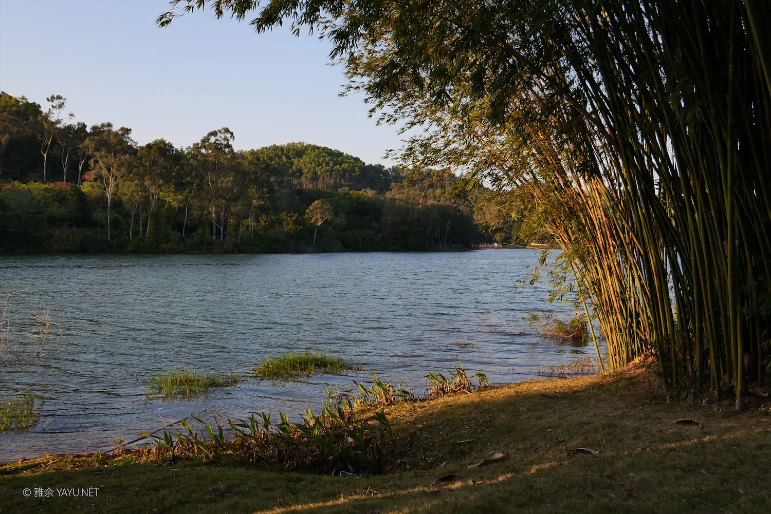 中山金钟水库10公里环湖漫步(图21) 中山金钟水库10公里环湖漫步(图21)