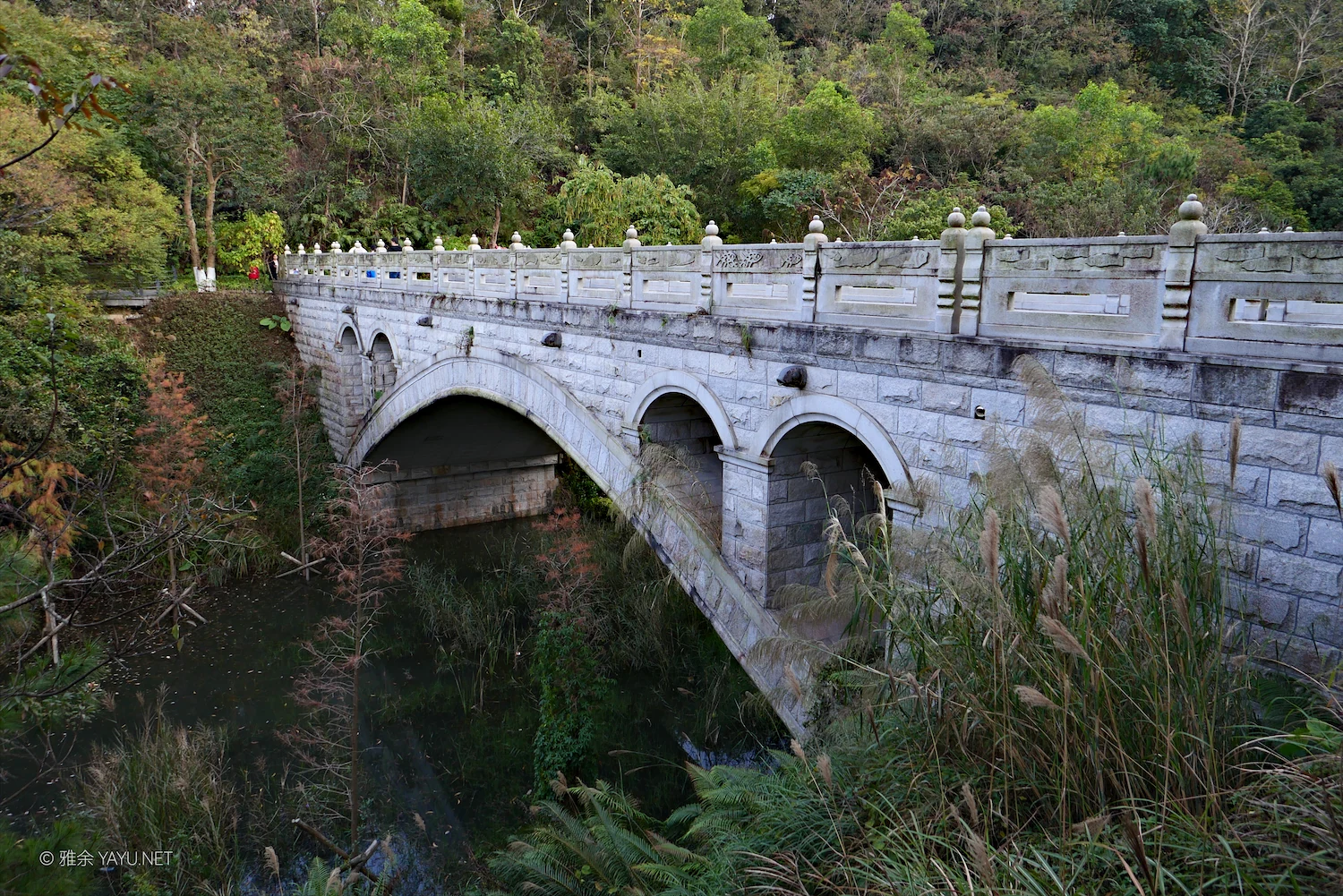 中山金钟水库10公里环湖漫步(图22) 中山金钟水库10公里环湖漫步(图22)