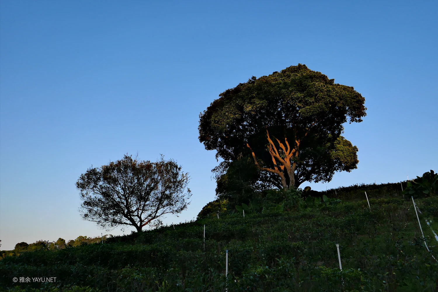 中山金钟水库10公里环湖漫步(图26) 中山金钟水库10公里环湖漫步(图26)