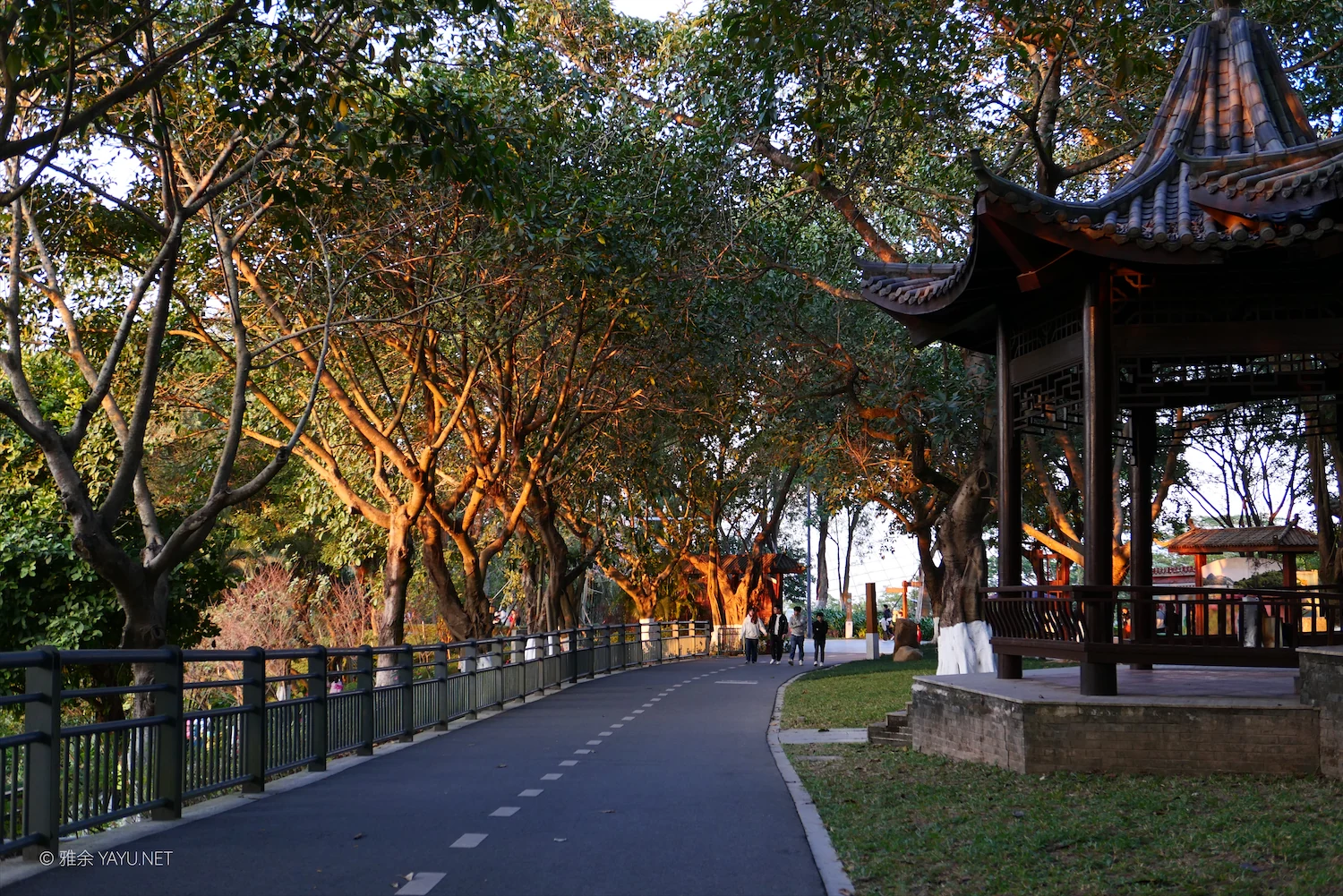 中山金钟水库10公里环湖漫步(图28) 中山金钟水库10公里环湖漫步(图28)