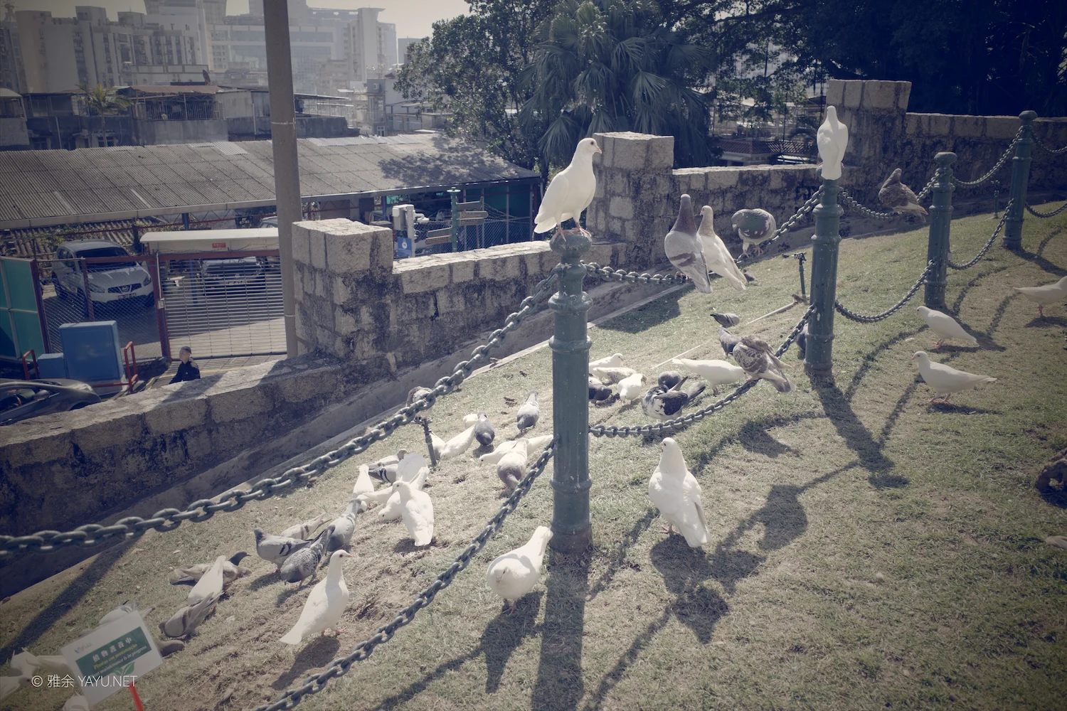 澳门东望洋炮台与大炮台(图14) 澳门东望洋炮台与大炮台(图14)