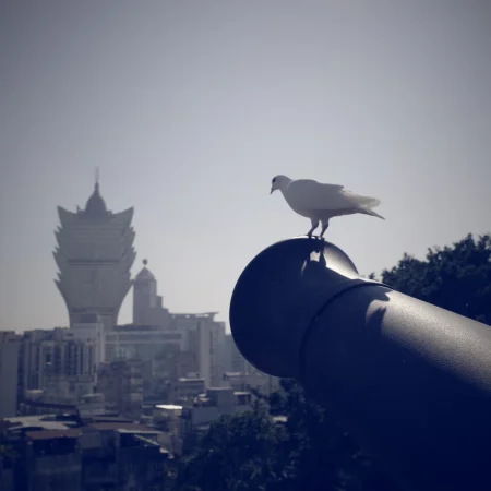 澳门东望洋炮台与大炮台