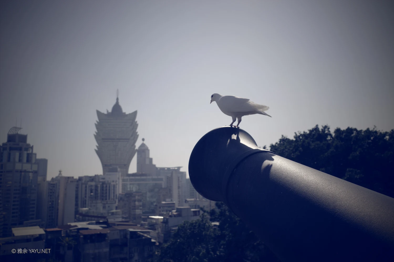 澳门东望洋炮台与大炮台(图20) 澳门东望洋炮台与大炮台(图20)