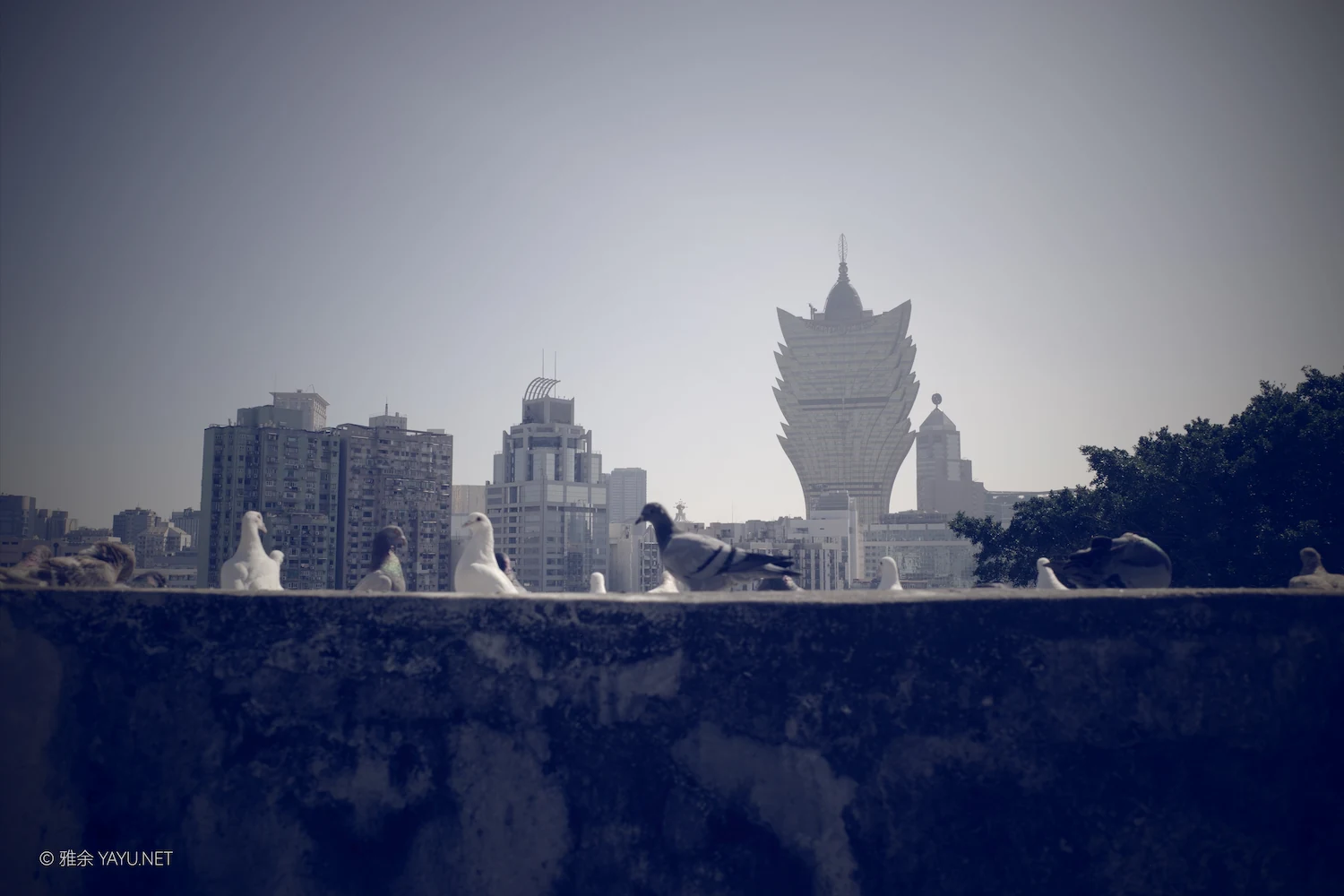 澳门东望洋炮台与大炮台(图19) 澳门东望洋炮台与大炮台(图19)