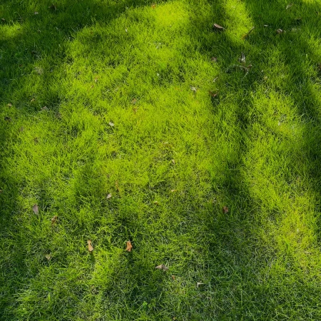 2026081415214013