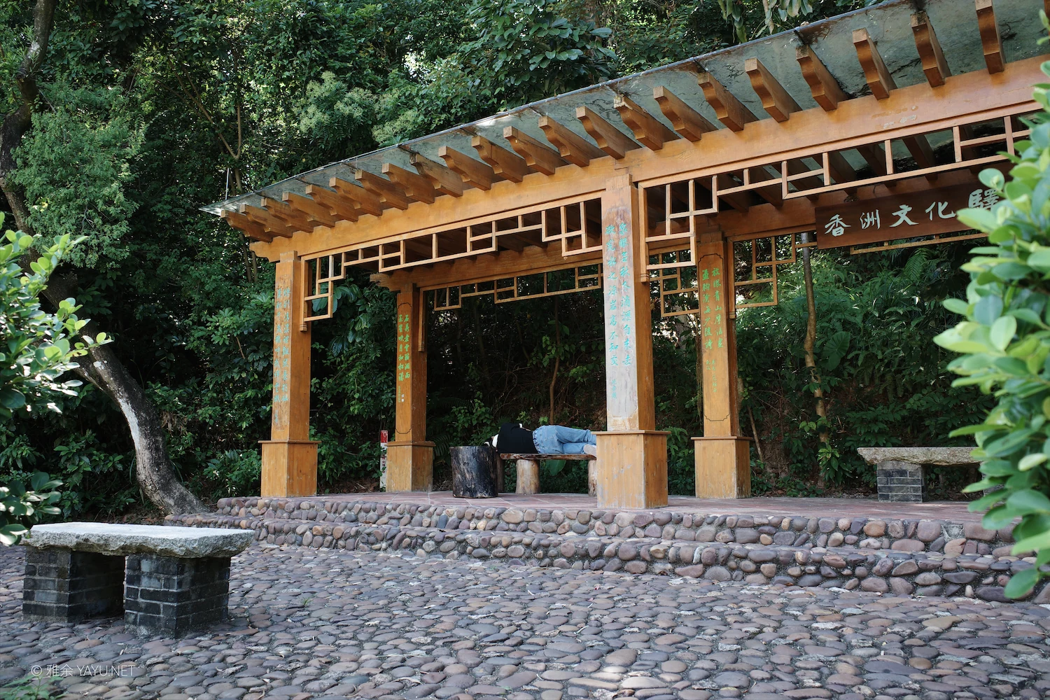 日常漫步 Vol.25 之逛公园（图7）